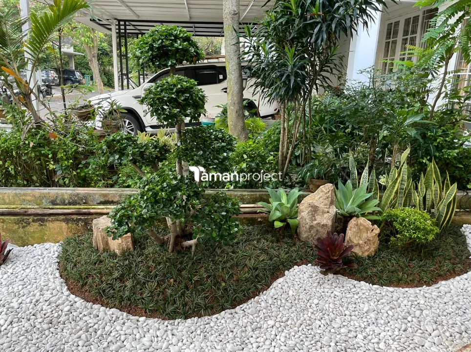 taman kering, zen garden, taman vertikal, vertical garden, bsd tangerang